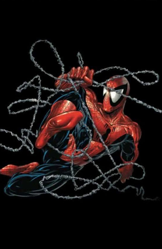 Venom #1 Todd McFarlane Megacon Exclusive Mexican Foil